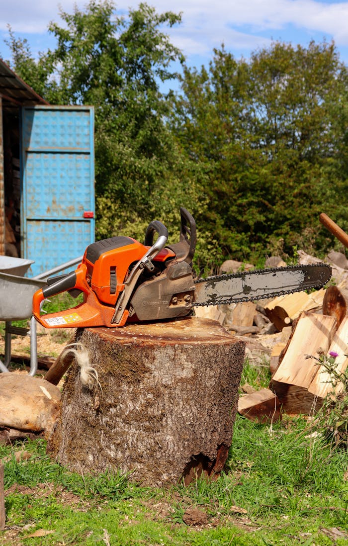 Orange chainsaw resting on a tree stump outdoors, surrounded by woodworking tools and logs.