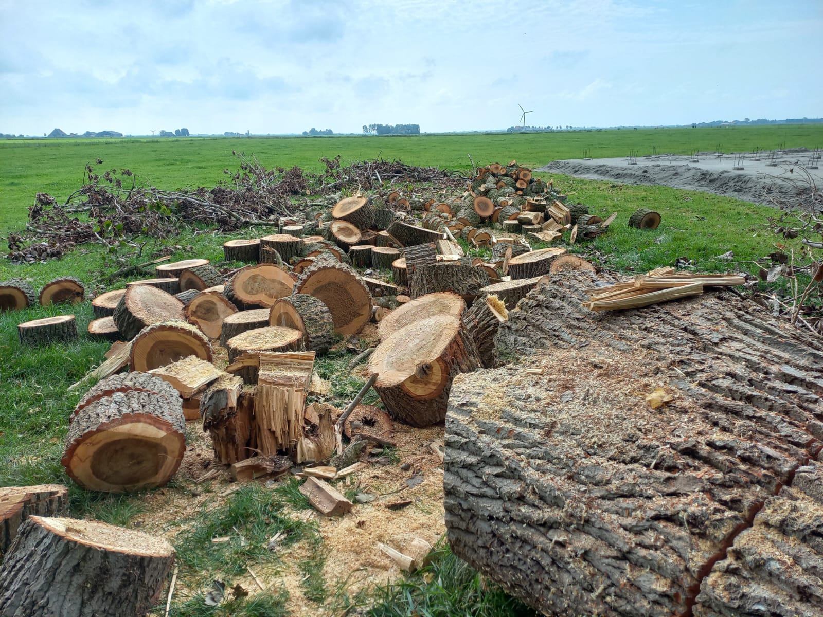 whatsapp image 2026 01 06 at 18.34.06