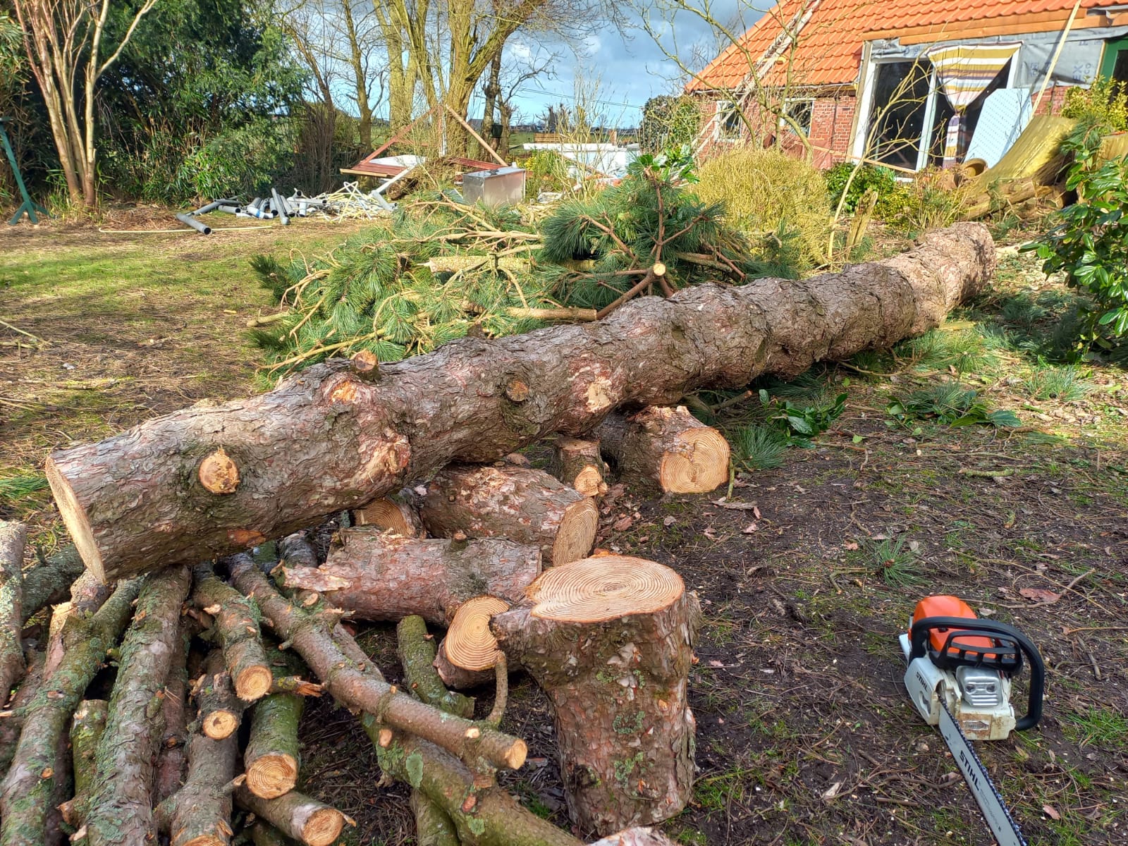 whatsapp image 2026 01 06 at 18.34.53